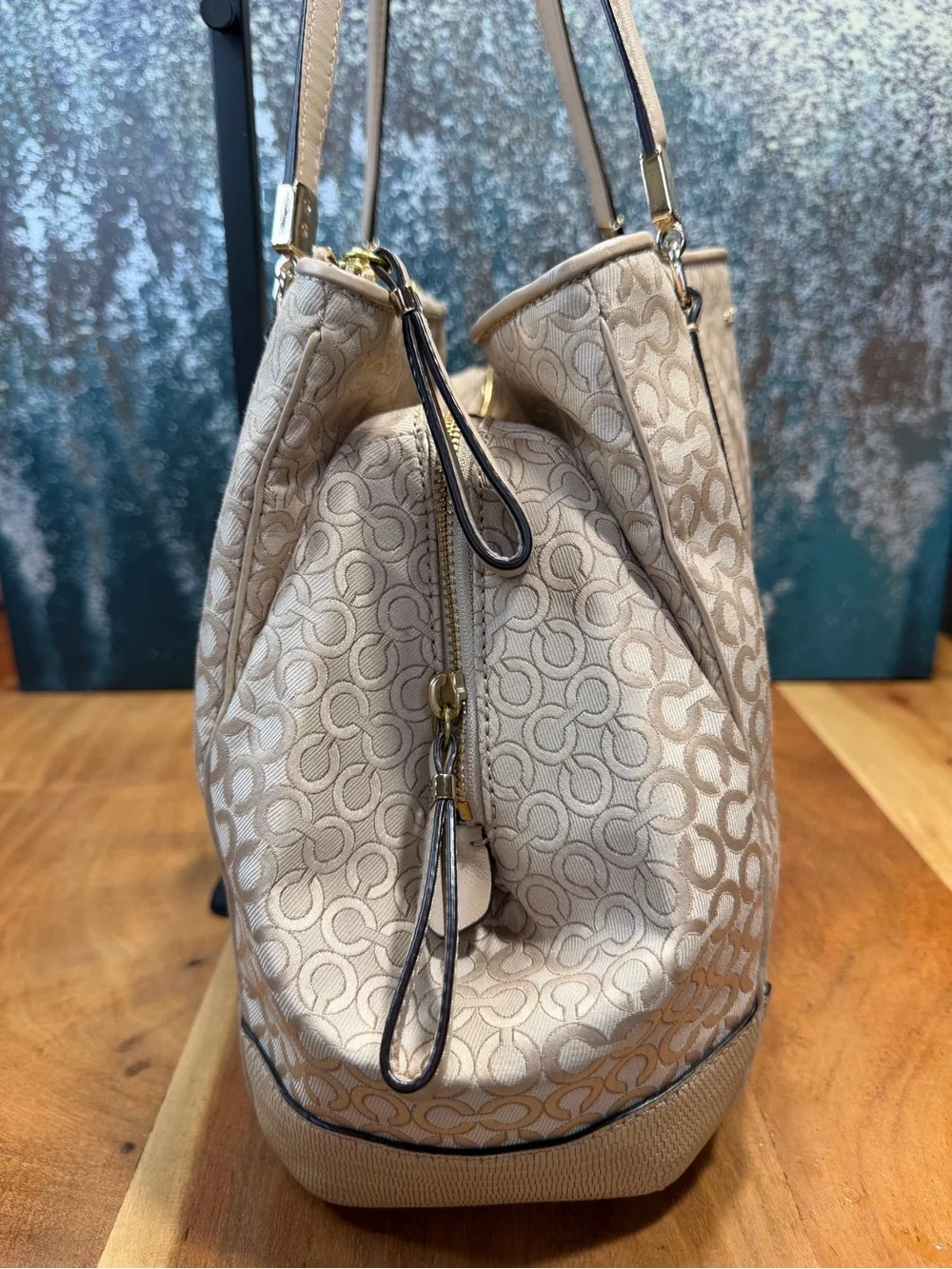 Coach 2013 Soft Glam Op Art Pearlescent Carryall Bag EUC